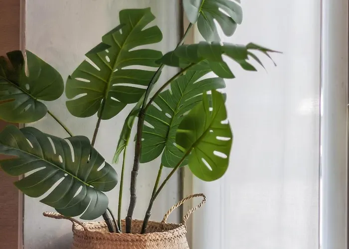 Casa Vigano Apartamento *